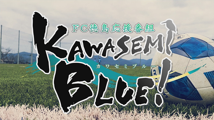 KAWASEMI BLUE！